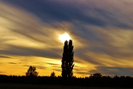 Sárvár 