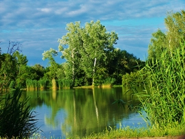pecztibor fotója