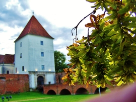 pecztibor fotója