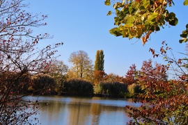 Sárvár 