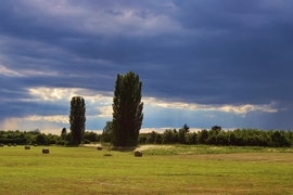Sárvár 