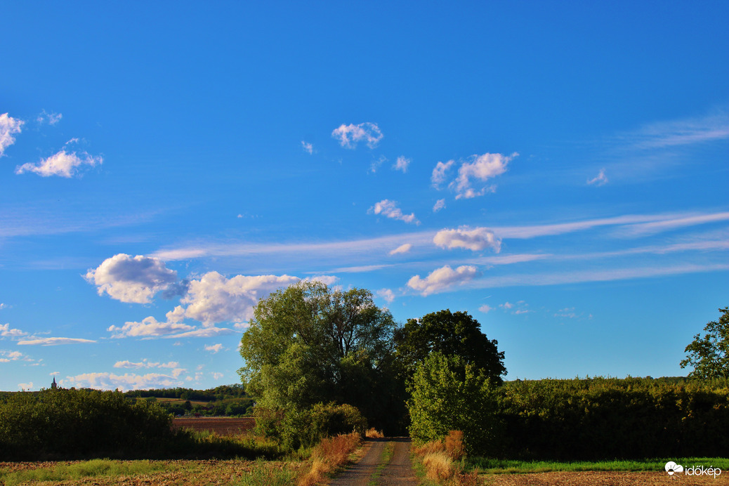 Sitke 