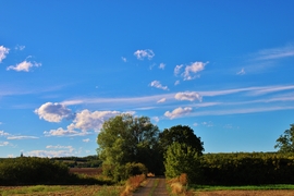 Sitke 