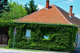 Sárvár 