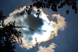 Sitke 