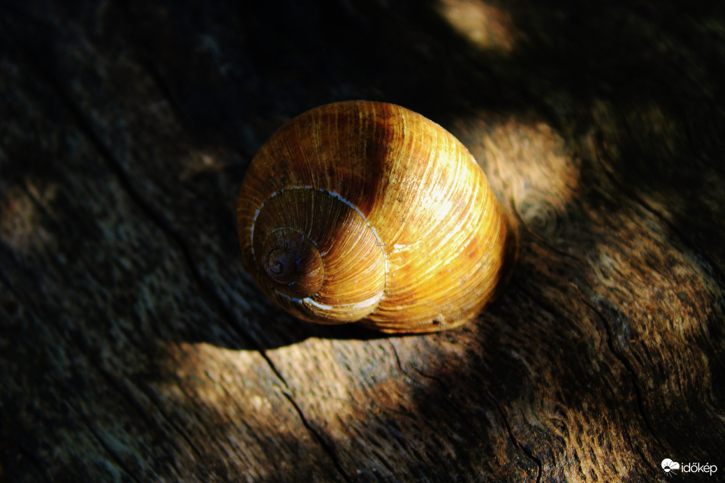 Fények és árnyékok! 