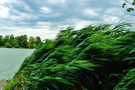 Sárvár 