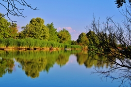 Sárvár 