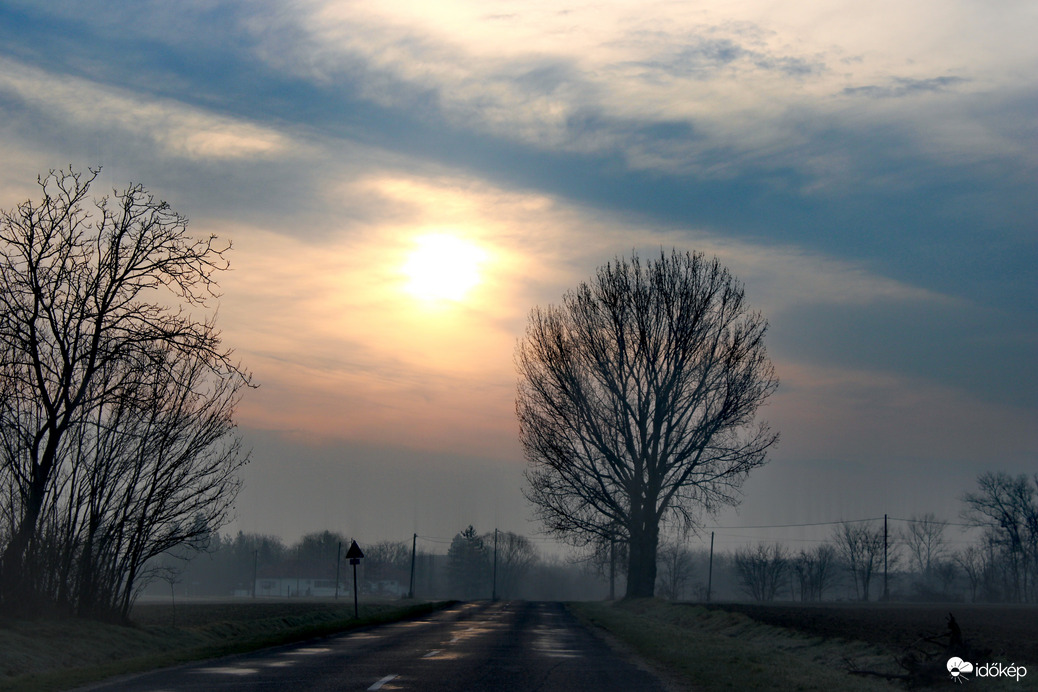 A felkelő nap fája! 