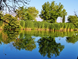 Sárvár 