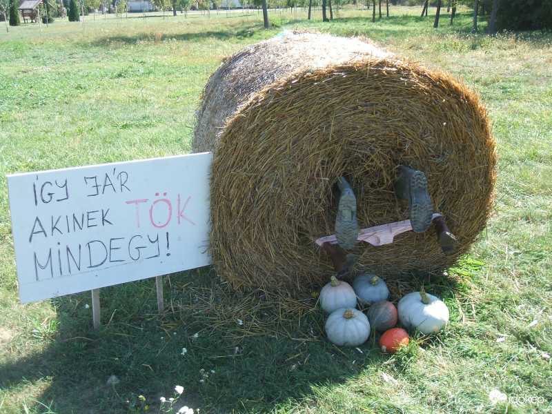 No comment!:)