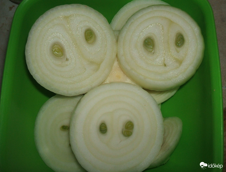 Kíváncsi szemek:)