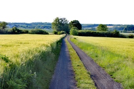 Sitke 