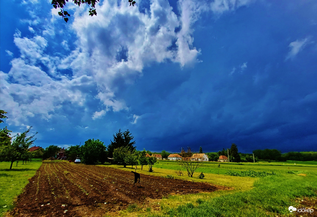 Pécz Dávid fotója! 