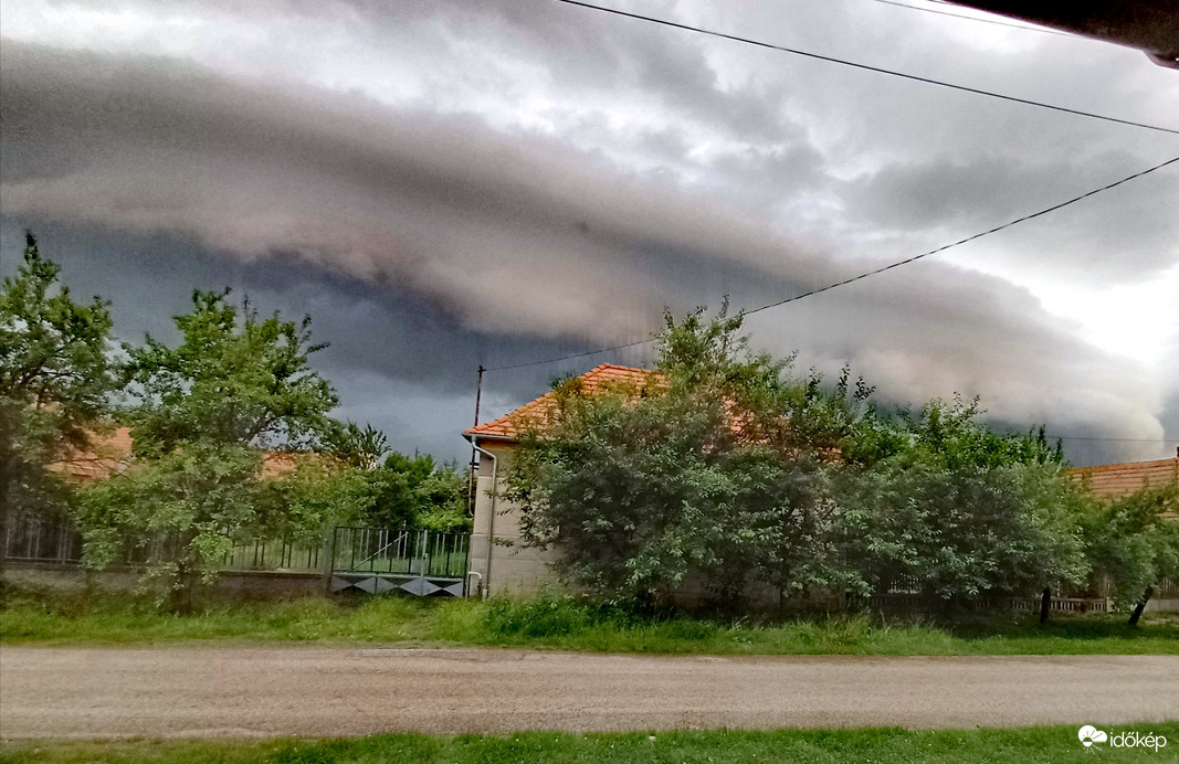 Pécz Dávid fotója! 