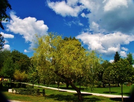 Szentgotthárd 
