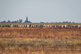 Kunmadaras