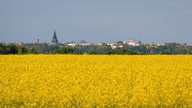 Repceföld Püspökladány közelében