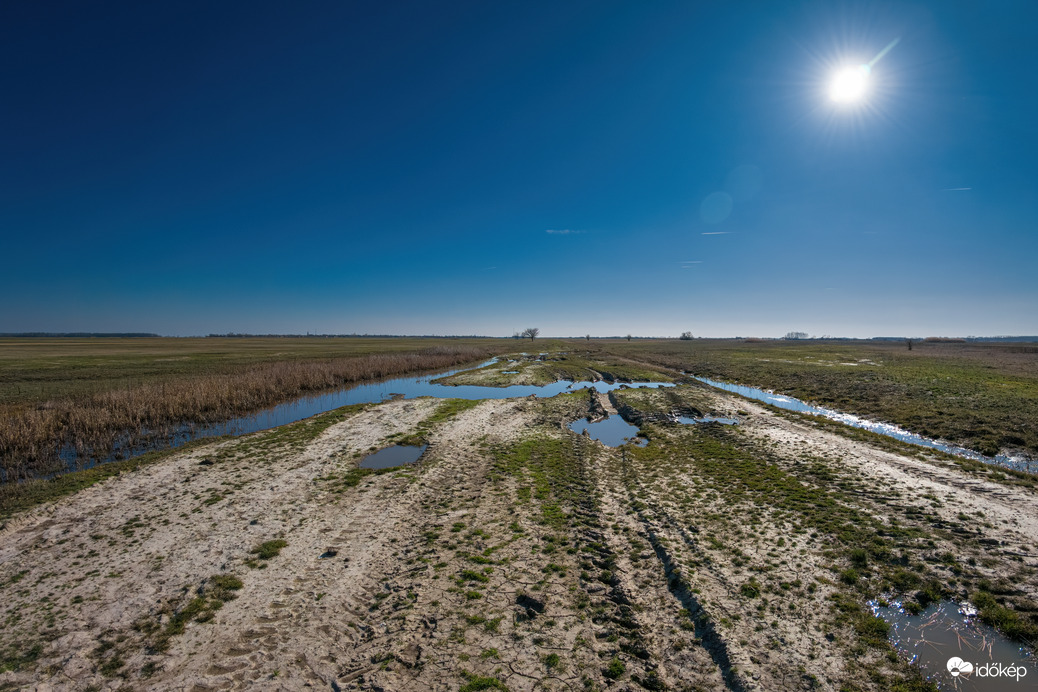 A puszta tavaszi arca