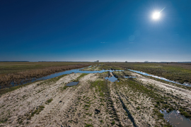 A puszta tavaszi arca