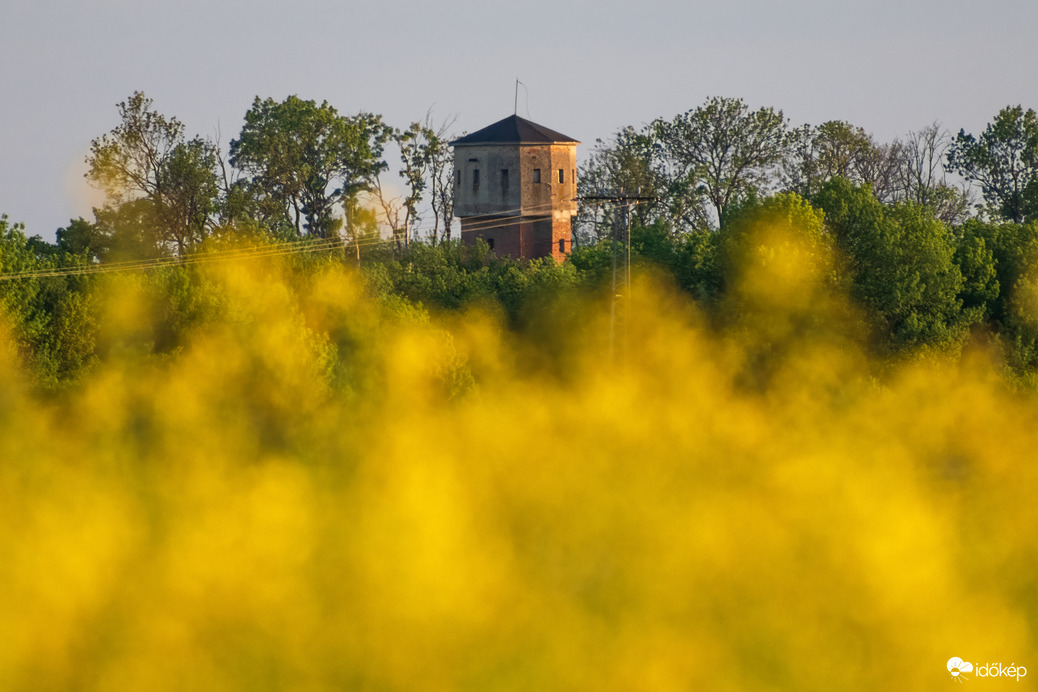 A sárga túloldalán...