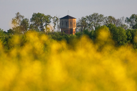 A sárga túloldalán...