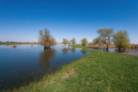 A Hortobágy folyó ártere