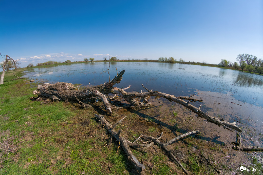 A Hortobágy folyó ártere
