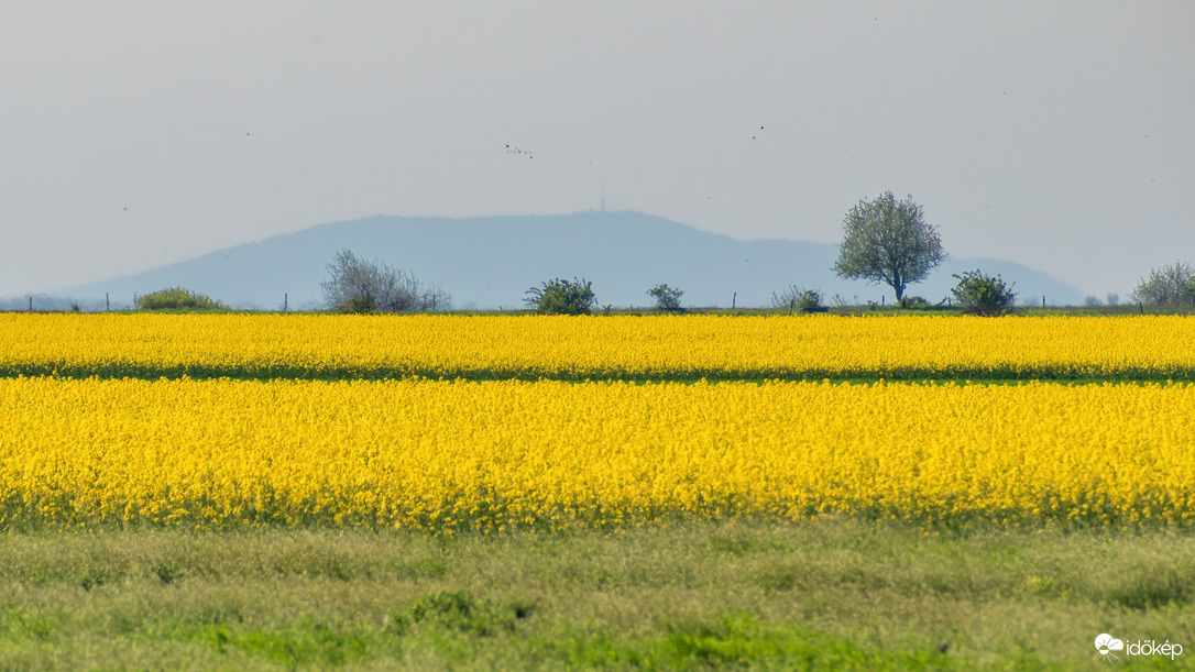 Repceföld háttérben a Mátrával Karcag határában
