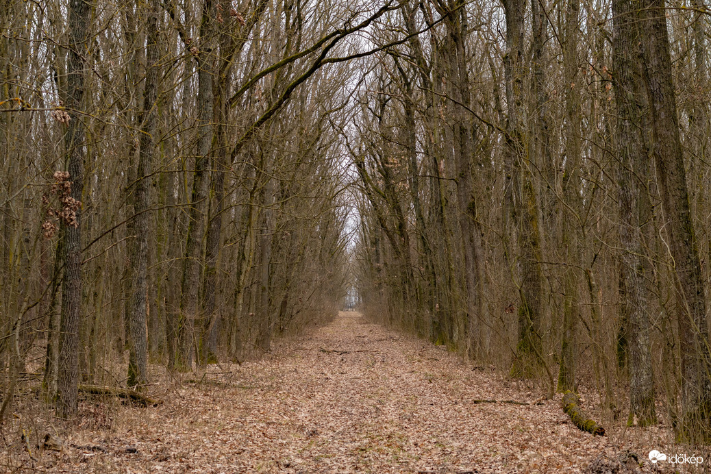 Püspökladány