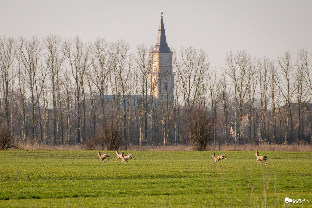 Püspökladány