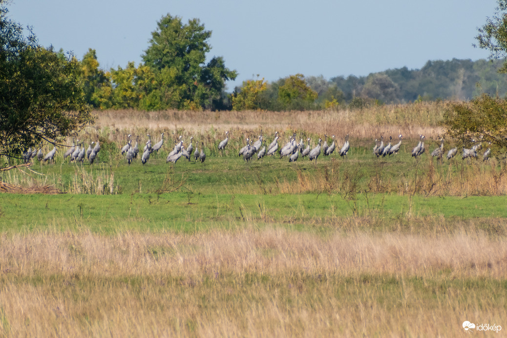 Daru csapat Nádudvar közelében