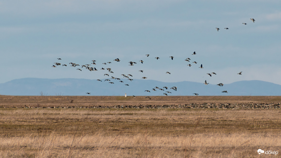 Vadludak, háttérben az Északi-középhegységgel