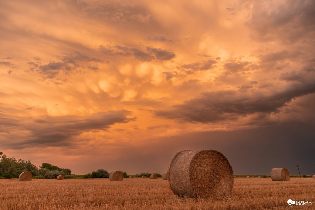 Püspökladány - Mammák a napnyugta előtt