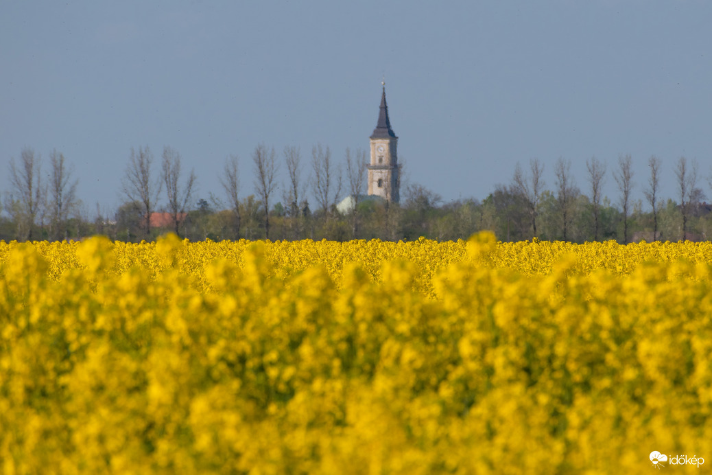 Püspökladány