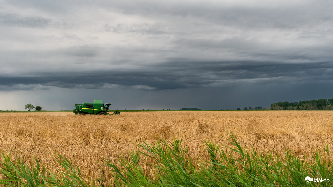 Püspökladány - Érkező zivatar és aratás