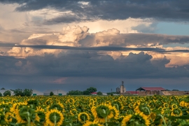 Püspökladány