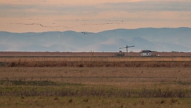 Távoli daruvonulás és a Bükk