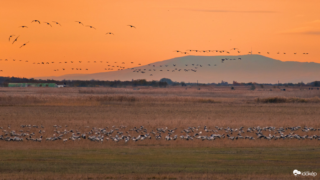 Éjszakázóhelyre érkező darvak és a Mátra :)
