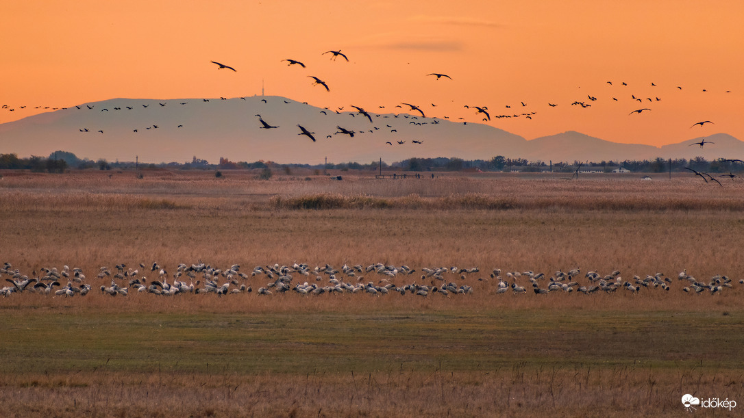 Éjszakázóhelyre érkező darvak és a Mátra :)
