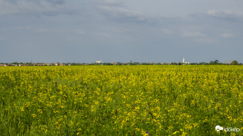 Püspökladány