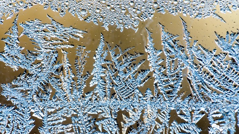 Jégvirágok közelről