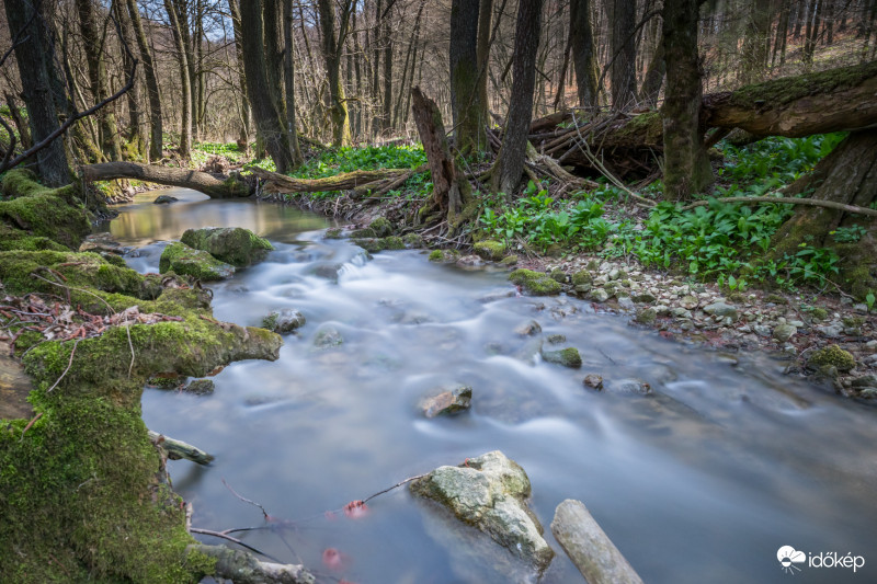 Rohanó patak a bakonyban