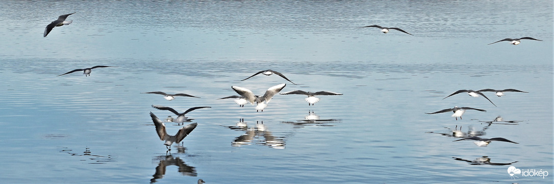 Balatonföldvár
