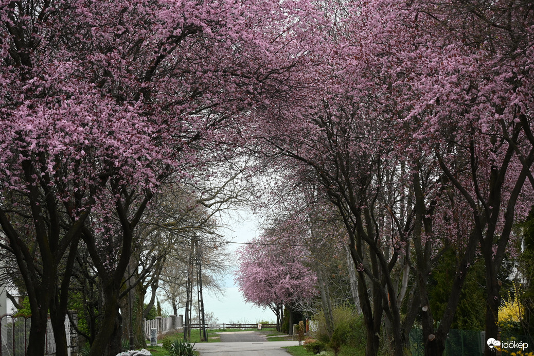 Balatonföldvár