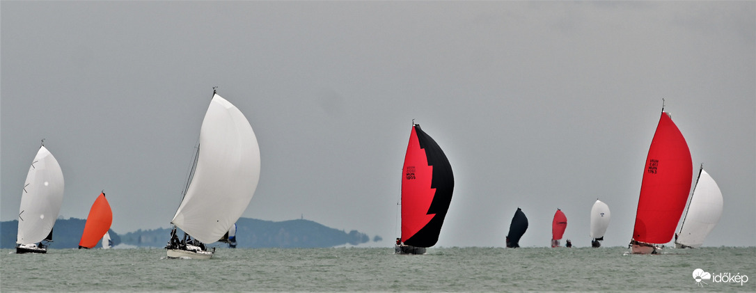 Regatta