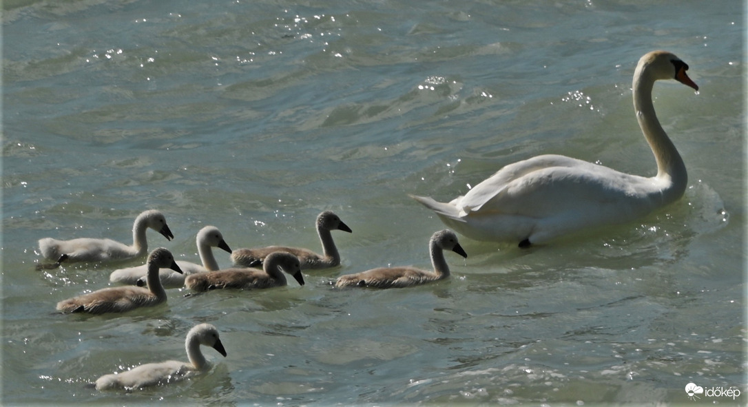 Balatonföldvár