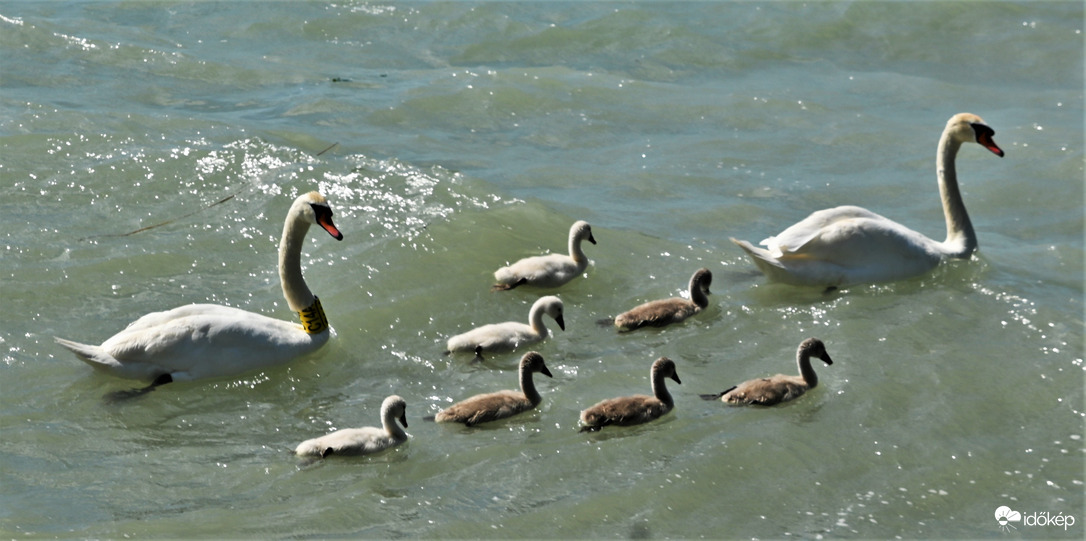 Balatonföldvár