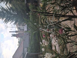 Radzovce