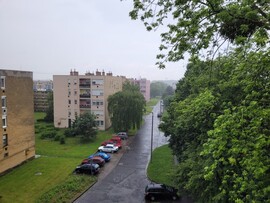 Pápa